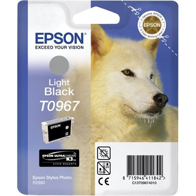 Epson C13T09674020 (T0967) Açık Siyah Orjinal Kartuş - Photo R2880 (T2902) hemen satın al!
